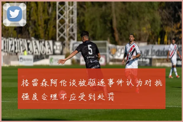 格雷森阿伦谈被驱逐事件认为对抗强度合理不应受到处罚