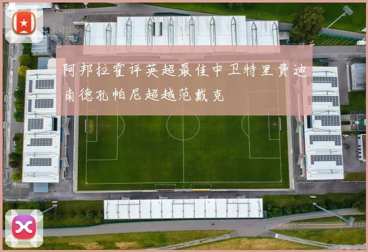 阿邦拉霍评英超最佳中卫特里费迪南德孔帕尼超越范戴克