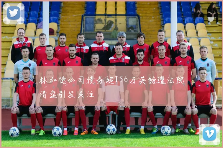 林加德公司债务超156万英镑遭法院清盘引发关注