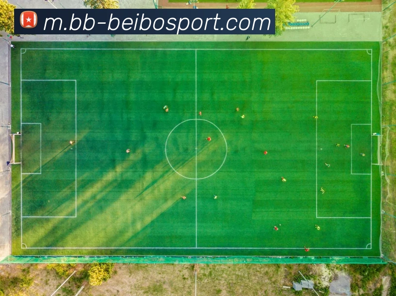 多媒体互动体验