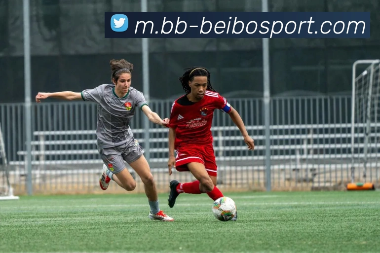 贝博足球APP 高清赛事图