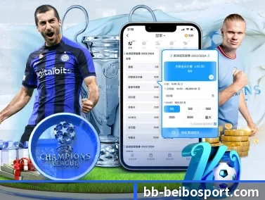 贝博足球 APP - BEIBOSPORTS