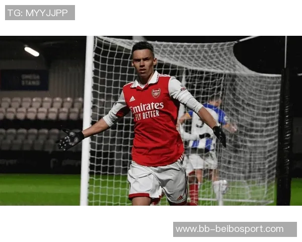 阿森纳等多队关注红星小将科斯托夫已收到2000万欧报价